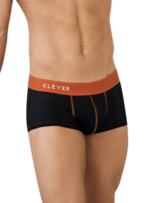 Boxer latin Line Clever