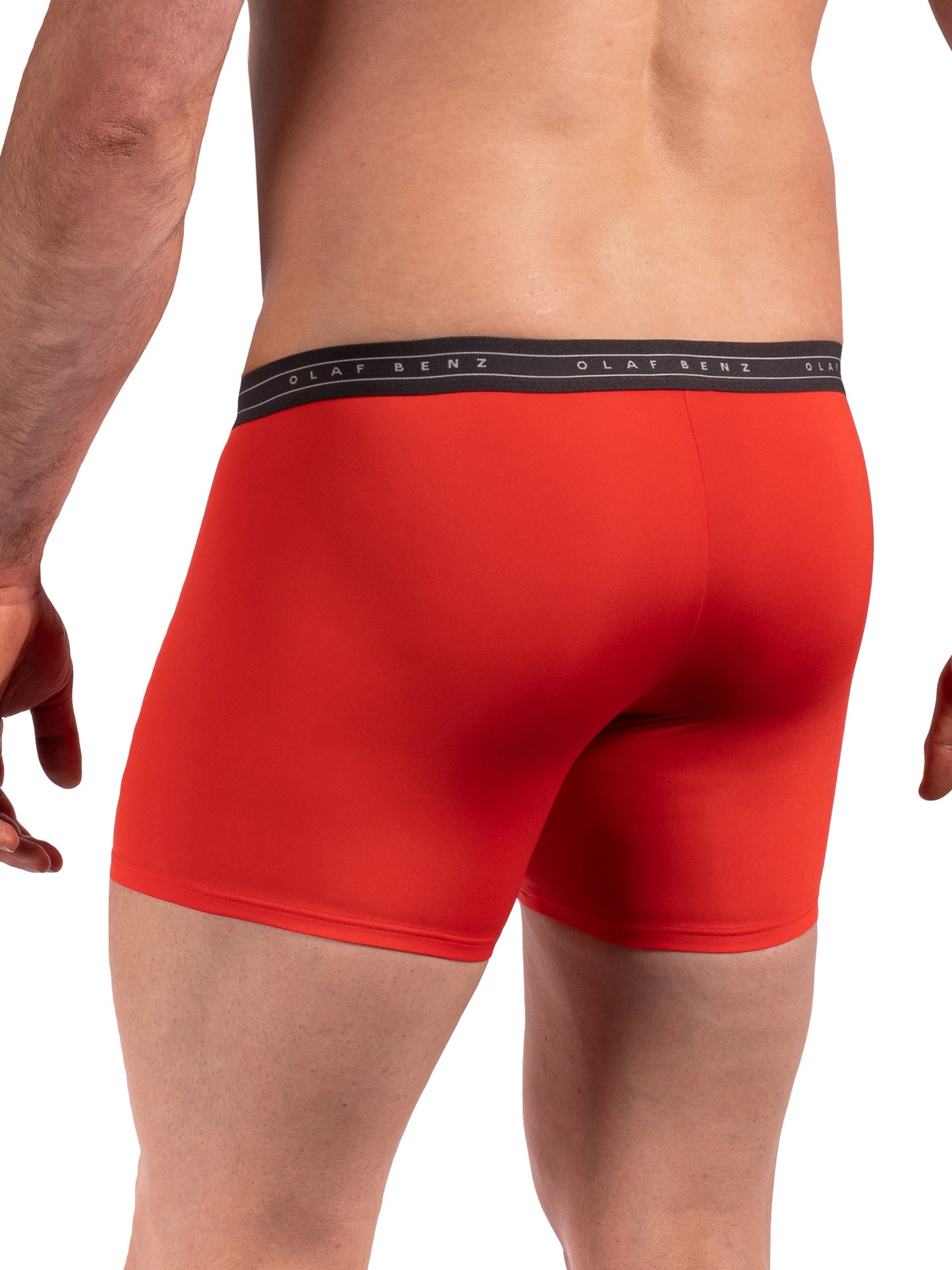 Boxer RED2264 Olaf Benz