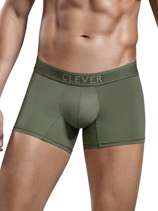 Boxer Britanica Clever