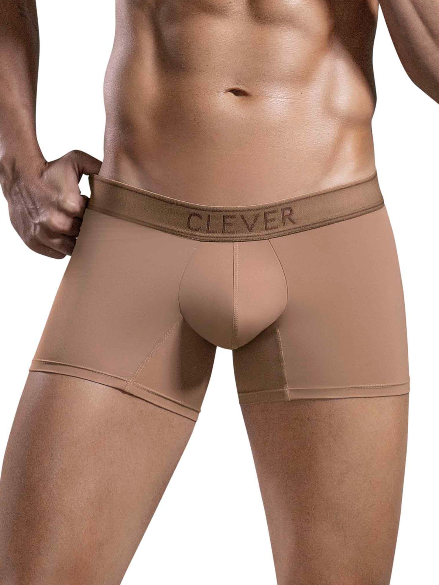 Boxer Britanica Clever