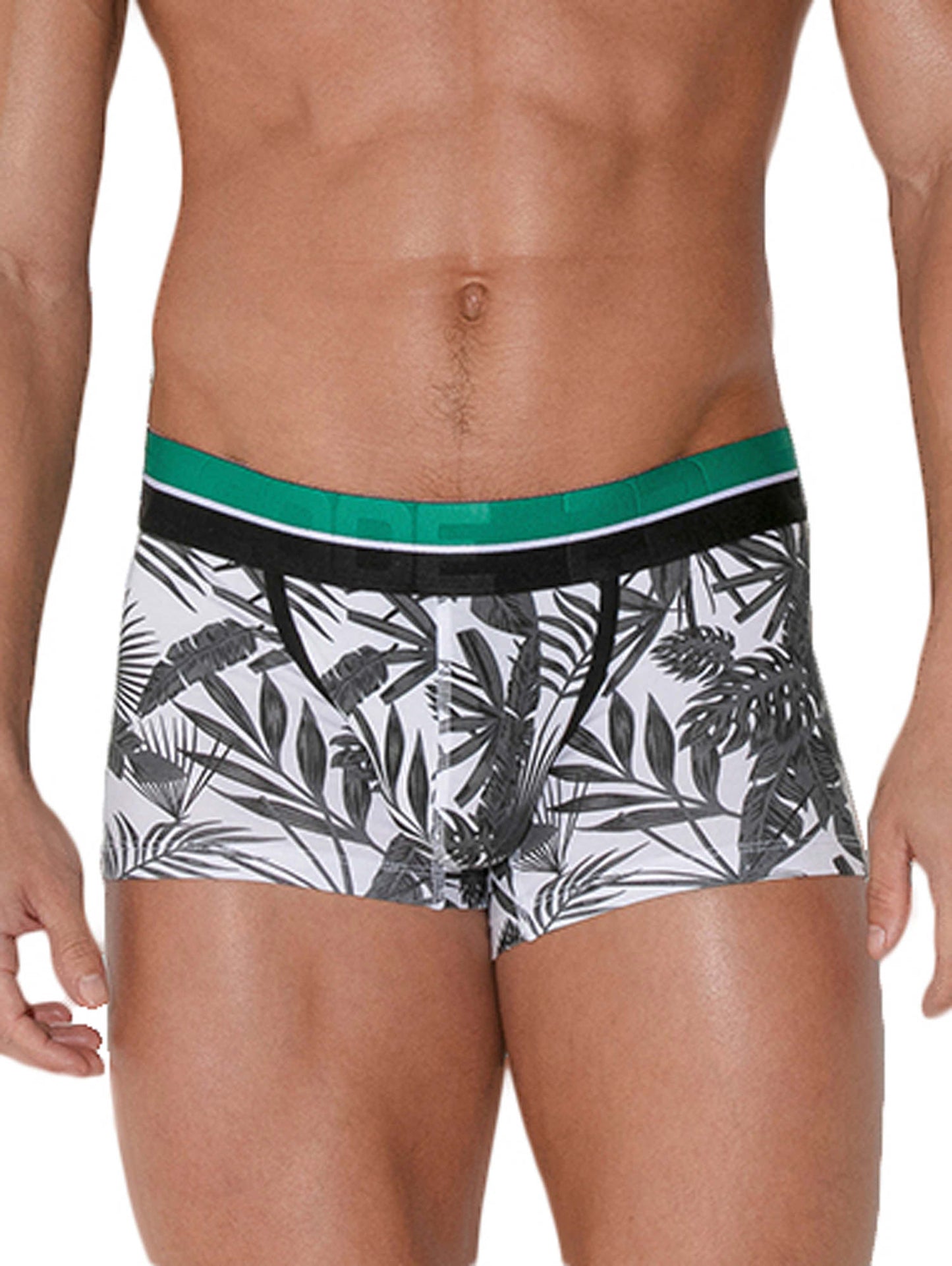 Boxer Palm Tree Code22